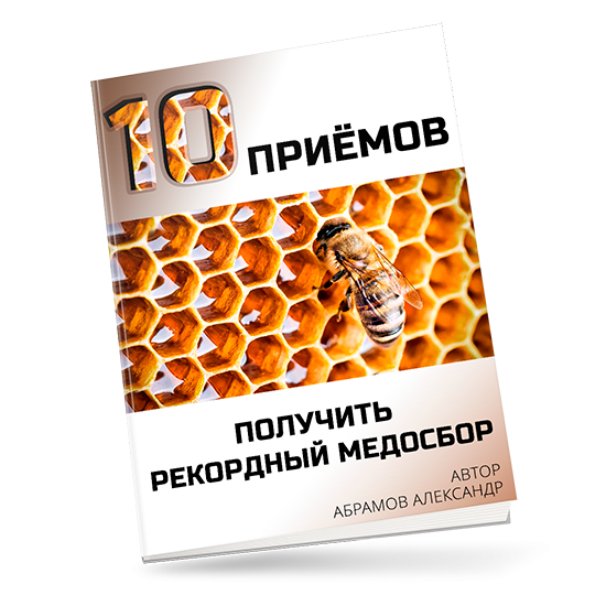 Рекордный медосбор