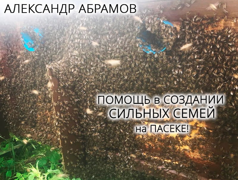 Александр Абрамов Пчеловодство