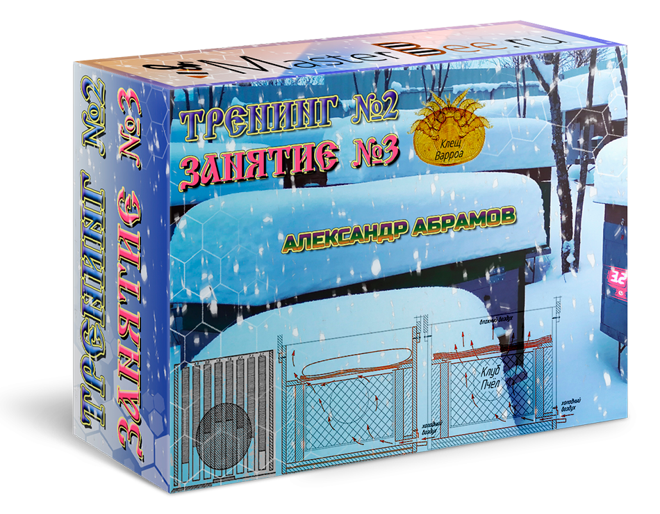 зимовка пчёл